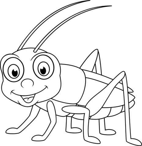 Cute Cricket Coloring Page